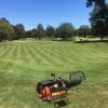 JS Lawn & Maintenance