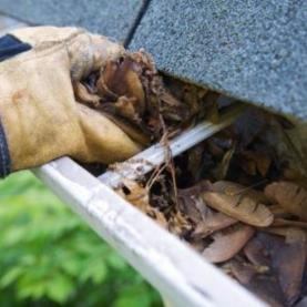 Sydney Gutter Clean