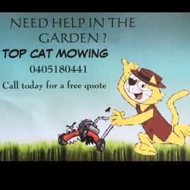 Top Cat Mowing