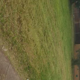 Zarafa lawn maintenance