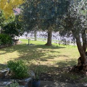 Adam and sons mowing and maintenance