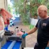 Revolution Pipe Relining