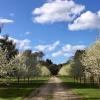 DJC Landscaping & Property Maintenance