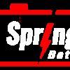 Springvale Batteries