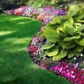 Above Expectations Lawn Maintenance