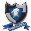 WUNDAGUARD Upholstery Cleaning, Repairs & Protection