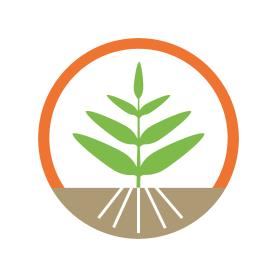 Let It Grow Vision
