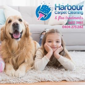 Harbour Carpet Cleaning
